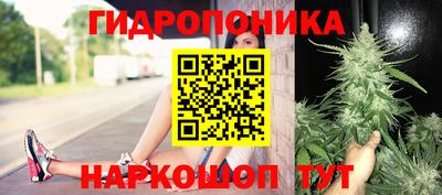 каннабис Кимры